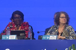 BRASIL-MATO GROSSO DO SUL-COP15-INAUGURACION