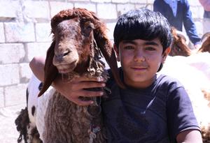 SIRIA-DAMASCO-EID AL-ADHA-GANADO-MERCADO