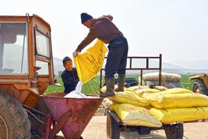 CHINA-SHANDONG-PRIMAVERA-AGRICULTURA