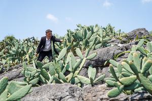 CHINA-YUNNAN-WENSHAN-INDUSTRIA DE CACTUS