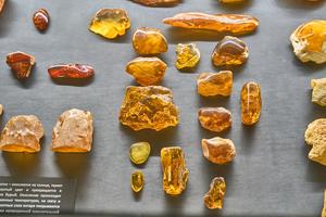 RUSIA-KALININGRADO-MUSEO DEL AMBAR