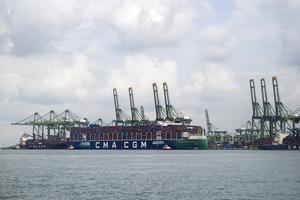 SINGAPUR-EXPORTACIONES NACIONALES NO PETROLERAS-CRECIMIENTO