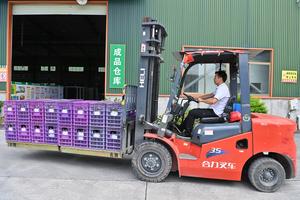 CHINA-GUANGXI-GUIGANG-PRODUCCION-REANUDACION