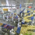 CHINA-GUANGXI-LUOSIFEN-INDUSTRIA DE LOS FIDEOS DE ARROZ