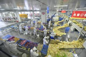 CHINA-GUANGXI-LUOSIFEN-INDUSTRIA DE LOS FIDEOS DE ARROZ