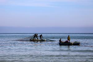 MEDIO ORIENTE-CIUDAD DE GAZA-PESCADORES