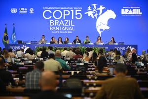 BRASIL-MATO GROSSO DO SUL-COP15