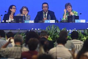 BRASIL-MATO GROSSO DO SUL-COP15