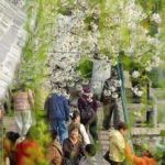 CHINA-SHANDONG-JINAN-FLORES DE CEREZO