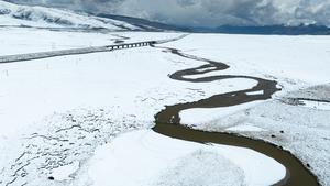 CHINA-XIZANG-NAGQU-PASTIZAL DE QIANGTANG-PAISAJE NEVADO