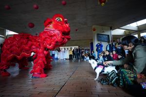 COLOMBIA-BOGOTA-AÑO NUEVO CHINO