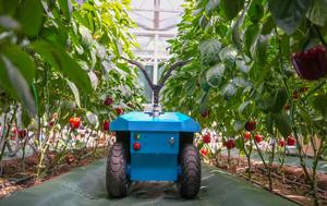 CHINA-SHANDONG-SHOUGUANG-EXPOSICION DE VEGETALES-AGRICULTURA AUTONOMA