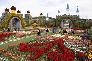 REPUBLICA DE COREA-TAEAN-FESTIVAL DE TULIPANES