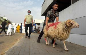 KUWAIT-GOBERNACION CAPITAL-EID AL-ADHA-GANADO-MATADERO