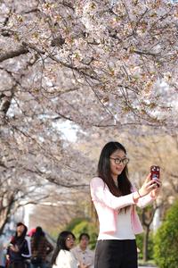 CHINA-SHAANXI-XI'AN-LAGO QUJIANG-PRIMAVERA-PAISAJE