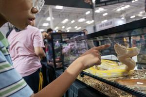 CHINA-BEIJING-EXPOSICION MUNDIAL DE REPTILES