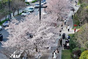 CHINA-SHAANXI-XI'AN-LAGO QUJIANG-PRIMAVERA-PAISAJE