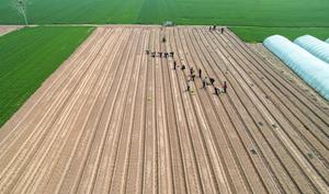 CHINA-ARADO DE PRIMAVERA