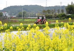 CHINA-ARADO DE PRIMAVERA