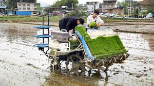 CHINA-ARADO DE PRIMAVERA