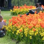 ITALIA-VERONA-PRIMAVERA-FLORES