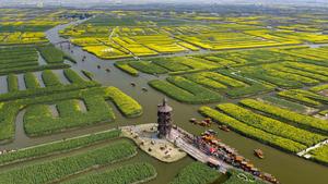 CHINA-PRIMAVERA-FLORES