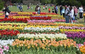 ITALIA-VERONA-PRIMAVERA-FLORES