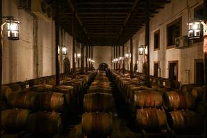 CHILE-SAN FERNANDO-TURISMO VITIVINICOLA