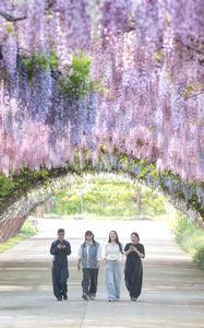 CHINA-PRIMAVERA-FLORES