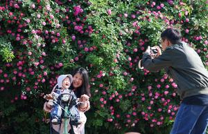 CHINA-PRIMAVERA-FLORES