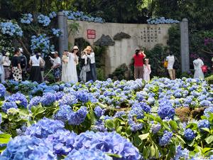 CHINA-PRIMAVERA-FLORES