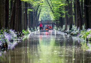 CHINA-PRIMAVERA-FLORES