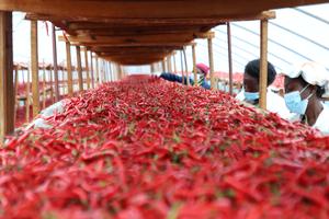 RUANDA-PROVINCIA ORIENTAL-CHILES-CHINA-POLITICA DE ARANCELES CERO