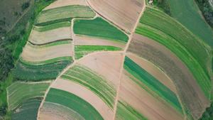 SUDAFRICA-JOHANNESBURGO-TIERRAS DE CULTIVO