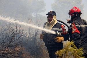 ARGELIA-EL HACHIMIA-INCENDIOS FORESTALES