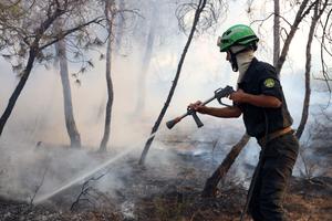 ARGELIA-EL HACHIMIA-INCENDIOS FORESTALES