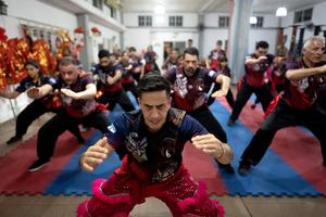 ARGENTINA-HAEDO-DANZA DEL LEON SOBRE POSTES