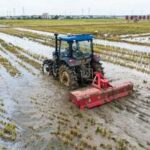 CHINA-HUNAN-CHANGSHA-GRANJA INTELIGENTE-COSECHA Y SIEMBRA