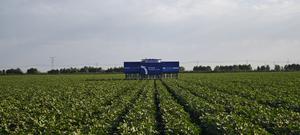 CHINA-XINJIANG-ALGODON-ROBOT