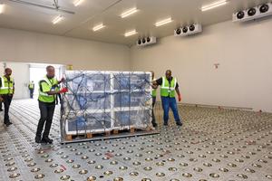 SUDAFRICA-JOHANNESBURGO-VACUNA FMD