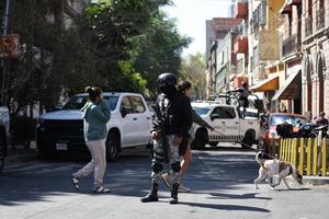 MEXICO-CIUDAD DE MEXICO-SEGURIDAD