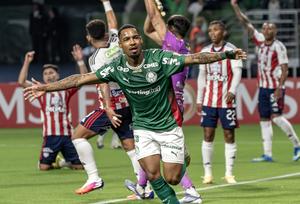 BRASIL-SAO PAULO-COPA LIBERTADORES-PALMEIRAS VS JUNIOR DE BARRANQUILLA