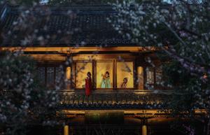 CHINA-ZHEJIANG-HANGZHOU-FLORES DE CIRUELO-RECORRIDO NOCTURNO ESPECIAL
