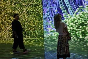 EEUU-CALIFORNIA-LOS ANGELES-MUSEO DE ARTE DE INTELIGENCIA ARTIFICIAL