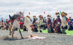 CHINA-XIZANG-COMPETENCIA DE CARRERAS DE CABALLOS