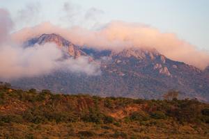 KENIA-TAITA-TAVETA-PARQUE NACIONAL DE TSAVO WEST-VIDA SILVESTRE