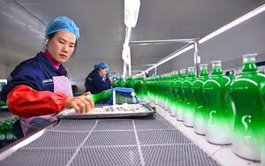 CHINA-TRABAJO-REANUDACION