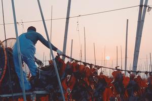 CHINA-FUJIAN-XIAPU-CULTIVO Y COSECHA DE ALGAS MARINAS