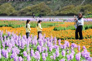 CHINA-PRIMAVERA-PAISAJE