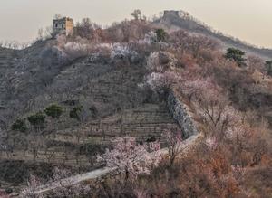 CHINA-PRIMAVERA-PAISAJE